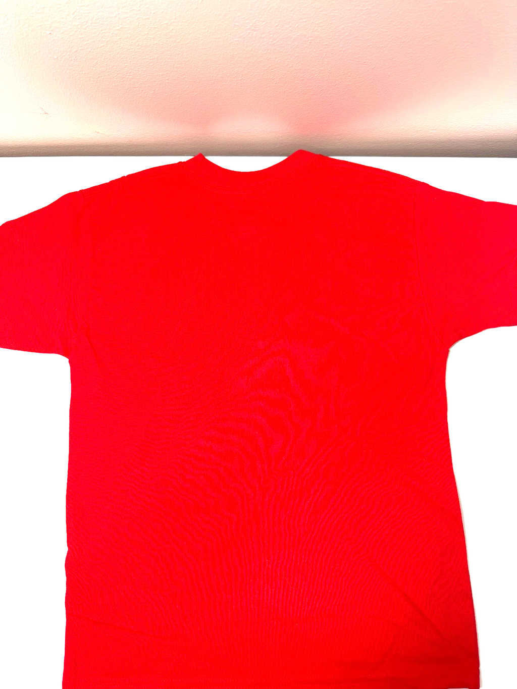 Champion Authentic Performance Cotton Training top T-Shirt Youth Scarlet (Small)