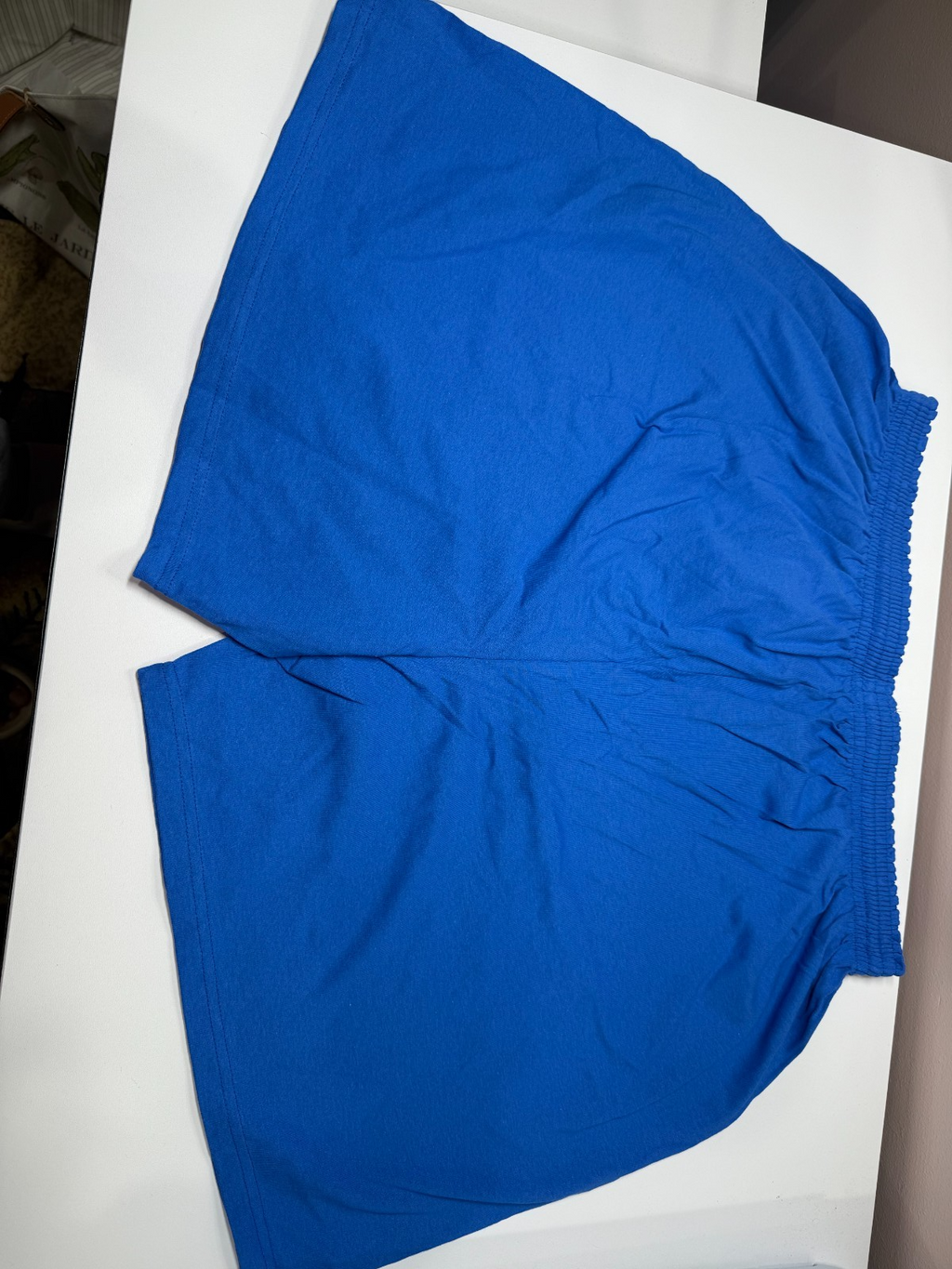 Men's Champion 100% cotton Jersey Shorts Royal Blue  2XL (44-46)