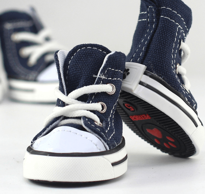 Pet Denim Cowboy Canvas Shoes